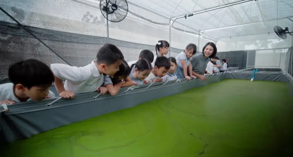 ศูนย์การเรียนรู้เฉพาะทางและโครงการเกษตรแนวใหม่ (Wolfia)